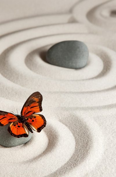 sassi nella sabbia e farfalle kinesiologia